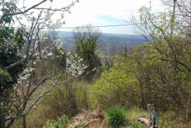 Izvrsno građevinsko zemljište na prekrasnoj lokaciji, Buje, Terrain