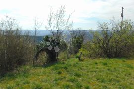 Izvrsno građevinsko zemljište na prekrasnoj lokaciji, Buje, Land