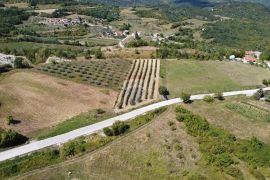 Pazin okolica, građevinsko zemljište 774 m2, Pazin - Okolica, Terrain