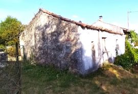 Istra,Slum-Autohtona kuća sa 5 h zemljišta, Lanišće, Haus