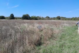 Istra,Marčana,građevinski teren sa mogućnošću parcelacije, Marčana, Zemljište