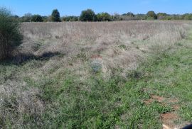 Istra,Marčana,građevinski teren sa mogućnošću parcelacije, Marčana, Tierra