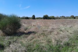 Istra,Marčana,građevinski teren sa mogućnošću parcelacije, Marčana, Terra