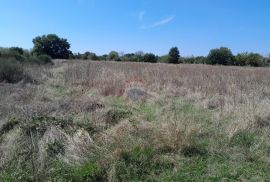 Istra,Marčana,građevinski teren sa mogućnošću parcelacije, Marčana, Terrain