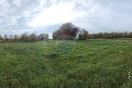 Barban, zemljište s građevinskom dozvolom za dvije luksuzne vile, Barban, Land