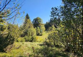 Gorski kotar, Vrbovsko - poljoprivredni teren 5990 m2, Vrbovsko, Land