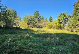 Gorski kotar, Vrbovsko - poljoprivredni teren 5990 m2, Vrbovsko, Terra