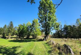 Gorski kotar, Vrbovsko - poljoprivredni teren 5990 m2, Vrbovsko, Terra