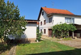 V.Gorica, Lukavec, kuća 200 m2, 3300 m2 okućnice, za obitelj, radnike, Velika Gorica - Okolica, Maison