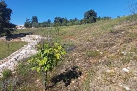 Istra, okolica Svetvinčenta, veliko zemljište, građevinsko i poljoprivredno, Svetvinčenat, Tierra