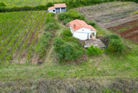 Rovinj,4km od centra,dva legalizirana objekta u kampanji-10350m2, Rovinj, Kuća