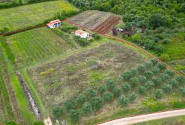 Rovinj,4km od centra,dva legalizirana objekta u kampanji-10350m2, Rovinj, Kuća