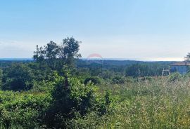 Istra,Kaštel-5 Građevinskih zemljišta s dozvolom, Buje, Land