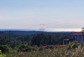 Istra,Kaštel-5 Građevinskih zemljišta s dozvolom, Buje, Land