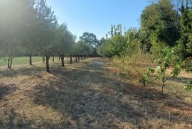 Istra, Marčana, gospodarski objekt na 12000 m2, Marčana, Σπίτι