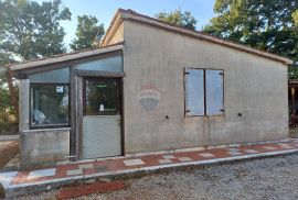 Istra, Marčana, gospodarski objekt na 12000 m2, Marčana, House