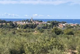 Istra, Novigrad, vila s bazenom blizu mora, Novigrad, Casa