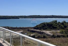 Istra, Novigrad, vila s bazenom blizu mora, Novigrad, Famiglia