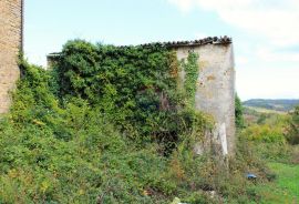 Istra,Momjan-Građevinsko zemljište s ruševinom, Buje, Land