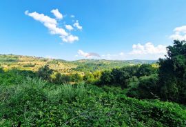 Istra,Momjan-Građevinsko zemljište s ruševinom, Buje, Land