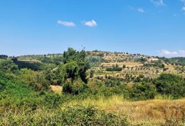 Istra,Momjan-Građevinsko zemljište s ruševinom, Buje, Terrain