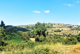 Istra,Momjan-Građevinsko zemljište s ruševinom, Buje, Arazi