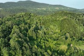 Građevinski teren s pogledom na Klek, Vrbovsko, Gorski kotar, Vrbovsko, Land