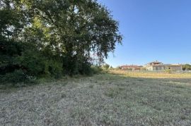 Istra, okolica, lijepo zemljište pred urbanizaciijom, Tar-Vabriga, Land