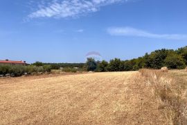 Istra, Lovrečica, Građevinski teren 150 m od mora, Umag, Tierra