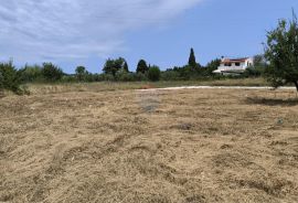 Istra, Vodnjan, građevinsko zemljište 659m2, Vodnjan, Terreno