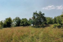 Gorski kotar, Plemenitaš - veliko zemljište, 7484 m2, Vrbovsko, Zemljište