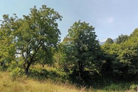 Gorski kotar, Plemenitaš - veliko zemljište, 7484 m2, Vrbovsko, Zemljište