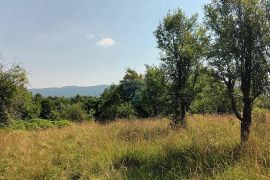 Gorski kotar, Plemenitaš - veliko zemljište, 7484 m2, Vrbovsko, Земля