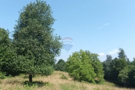 Gorski kotar, Plemenitaš - veliko zemljište, 7484 m2, Vrbovsko, Zemljište