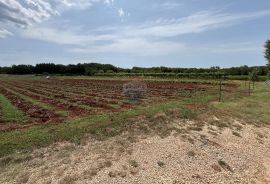 Umag, okolica - Samostojeća kuća na velikoj okućnici od 4 hektara, Umag, House