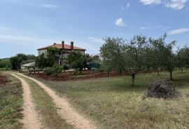 Umag, okolica - Samostojeća kuća na velikoj okućnici od 4 hektara, Umag, Casa