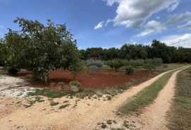 Umag, okolica - Samostojeća kuća na velikoj okućnici od 4 hektara, Umag, Famiglia