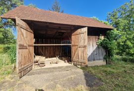 Bosiljevo - kuća s okućnicom, Bosiljevo, Casa