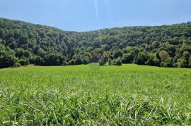 Gorski kotar - Blaževci - kuća blizu kupe, Vrbovsko, Maison