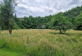 Gorski kotar - Moravice - Kuća s velikom okučnicom, Vrbovsko, Kuća