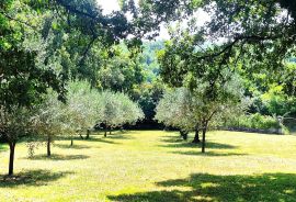 Istra,Brtonigla-Impozantno imanje s okućnicom od 10000 m2, Brtonigla, Kuća