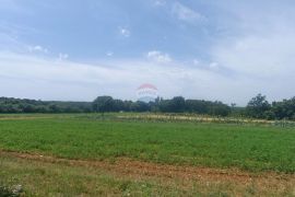 Sveti Lovreč, okolica, građevinski teren za investitore, Sveti Lovreč, Terrain