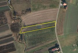 Desinec, građevinsko zemljište 3100 m2, Jastrebarsko - Okolica, Land