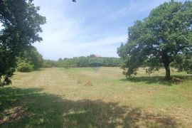 Sveti Lovreč, okolica, prekrasan građevinski teren, Sveti Lovreč, Land