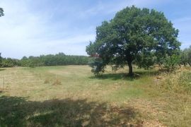 Sveti Lovreč, okolica, prekrasan građevinski teren, Sveti Lovreč, Land