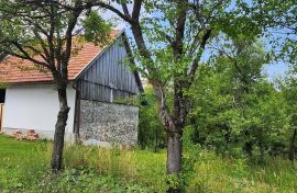 Gorski kotar, Kupjak - građevinski teren sa dvorišnom zgradom 1426 m2, Ravna Gora, Земля