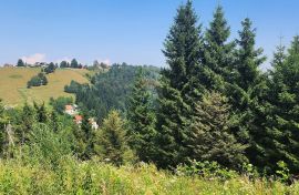 Gorski kotar, Ravna Gora - šuma 18 889 m2, Ravna Gora, أرض