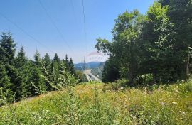 Gorski kotar, Ravna Gora - šuma 18 889 m2, Ravna Gora, Arazi