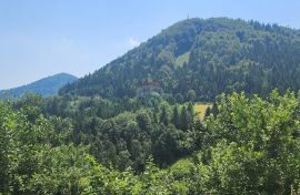 Gorski kotar, Ravna Gora - šuma 18 889 m2, Ravna Gora, Tierra