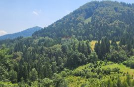 Gorski kotar, Ravna Gora - šuma 18 889 m2, Ravna Gora, Terrain